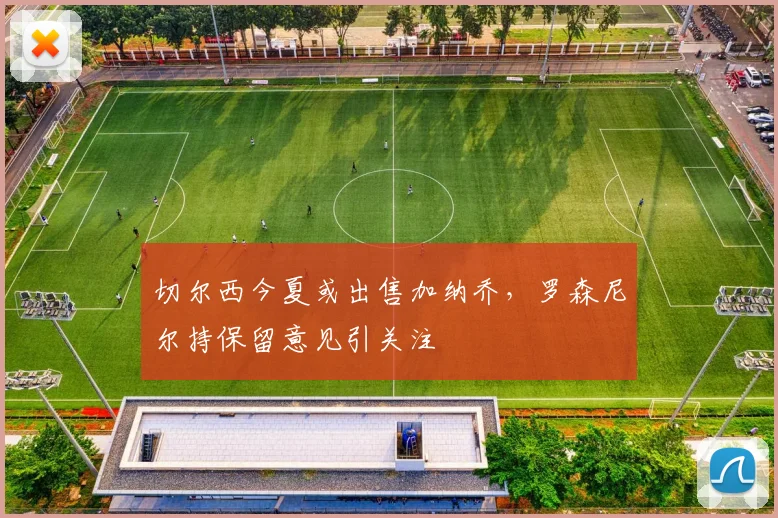 切尔西今夏或出售加纳乔，罗森尼尔持保留意见引关注